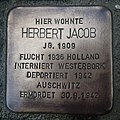 image=File:Stolperstein Geldern Gelderstraße 5 Herbert Jacob.jpg