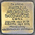 Stumbling block for Anastazija Jablonskiene-Bagdonaviciute (Panevezys) .jpg