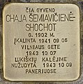 Stolperstein für Chaja Semiaviciene-Shochot (Vilnius).jpg