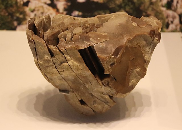 Stone core for making fine blades, Boqer Tachtit, Negev, Israel, circa 40,000 BP