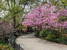 File:Stuyvesant_Square_Spring.jpg