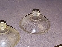 A transparent suction cup Suction cup 1.jpg