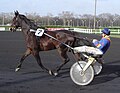 Sulky racing Vincennes DSC03728 cropped.JPG