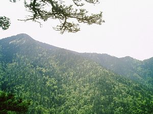 Summit of Konjuh