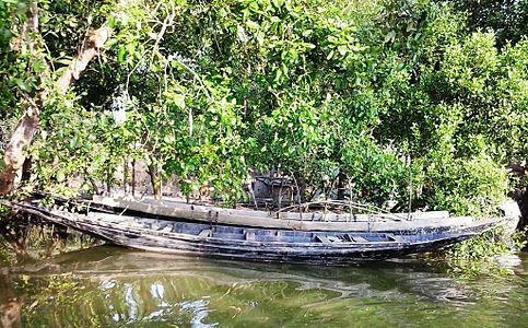 Boats in Sundarbans (photo)