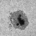 Sunspot from Hinode in G band (4305) 2007-04-30 T022859.gif