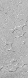 Swiss cheese-like ice formations as seen by Mars Global Surveyor