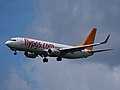 Thumbnail for List of Pegasus Airlines destinations