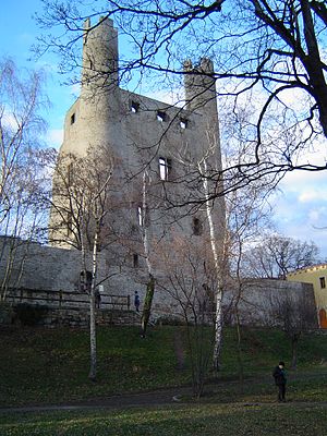 Hohe Schwarm - view from the banks of the Saale