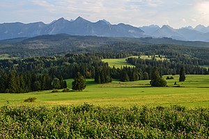 Montañas Tatry - vista desde Łapszanka 02.jpg