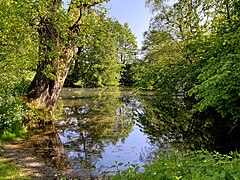 Teich in Buscherhof