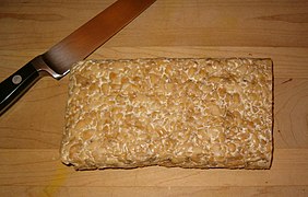 Tempeh uncooked.jpg