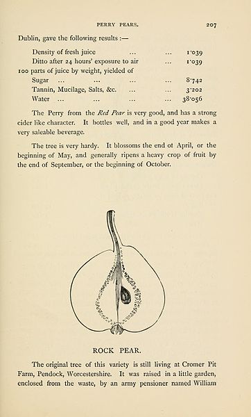 File:The Apple and pear as vintage fruits (Page 207) BHL6364714.jpg