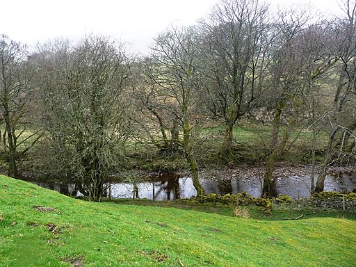 The River Eden - geograph.org.uk - 2340405