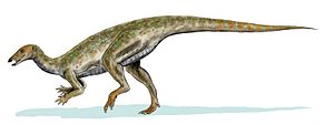 Thescelosaurus Thescelosaurus BW.jpg