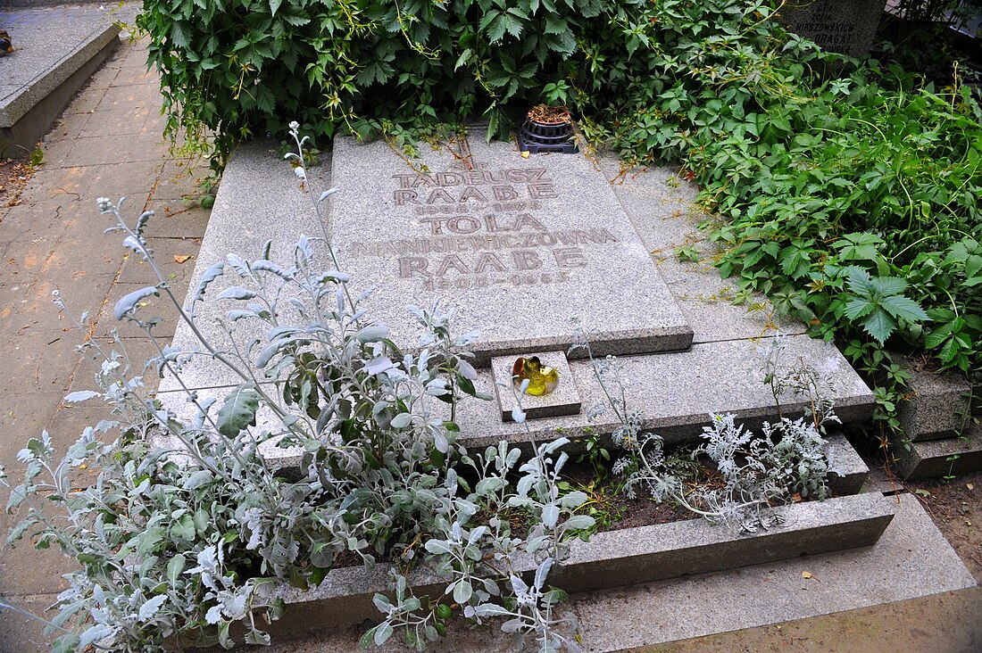 File:Tola Mankiewiczowna grave.JPG