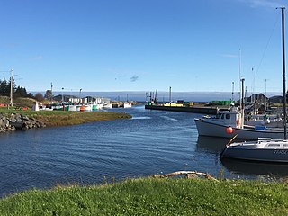 <span class="mw-page-title-main">Toney River, Nova Scotia</span>