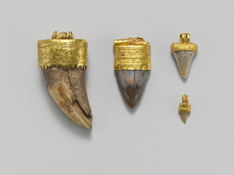 File:Tooth pendant set in gold MET DP257488.jpg