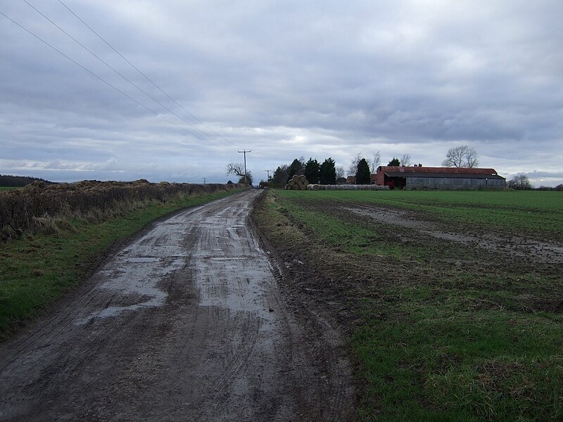 File:Track to Mordon Moor - geograph.org.uk - 3295000.jpg