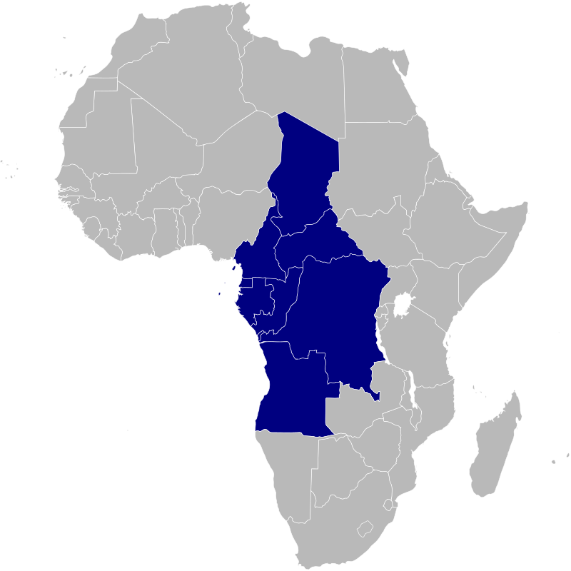 Year of Africa - Wikipedia
