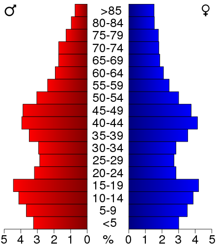 Age pyramid of county residents based on 2000 census data