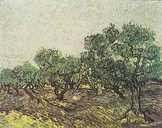 Vincent van Gogh, La récolte des olives, 1889.