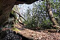 View from the southern rock shelter on Oldbury Hill. [17]