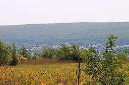 Mount Carmel – Veduta