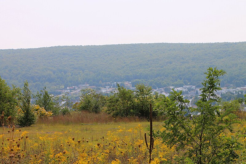 File:View of Mount Carmel 2.JPG