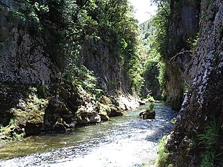 <span class="mw-page-title-main">Vis (river)</span> River in southern France