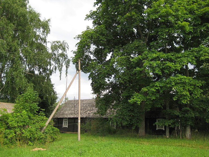 File:Vyžuonų sen., Lithuania - panoramio (1).jpg