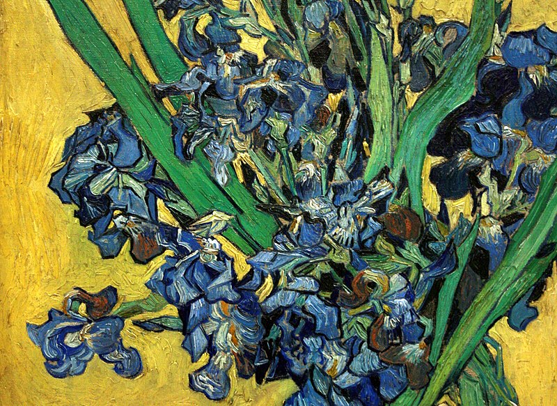 File:WLANL - Techdiva 1.0 - Irissen (detail), Vincent van Gogh (1890).jpg