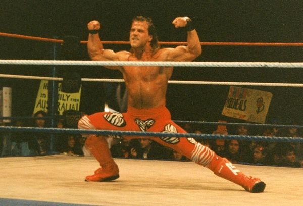 Shawn Michaels defended the WWF Championship against British Bulldog at King of the Ring.