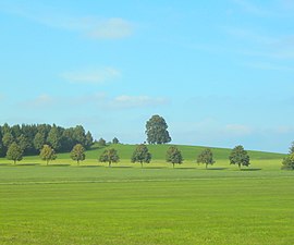 Wachbühl-2008.JPG 