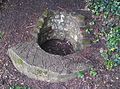 The well on the southern side of Scadbury Manor in Scadbury Park.