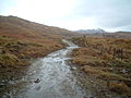 West Highland Way - geograph.org.uk - 142862.jpg