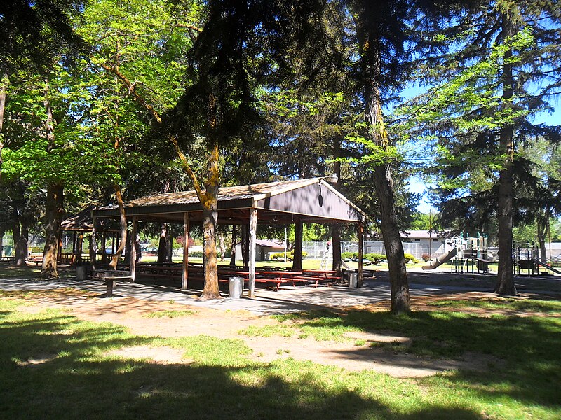 File:Wiard Park Cannopy.jpg