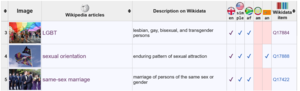Wiki99 LGBT - Meta-Wiki - detail.png
