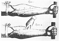 William Harvey: Életrajza, Az új vérkeringési modell, a nagy vérkör felfedezése, Embriológia