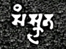 An early use of the word for "Sanskrit" in Late Brahmi script (also called Gupta script):
Sam-skr-ta

Mandsaur stone inscription of Yashodharman-Vishnuvardhana, 532 CE. Word for Sanskrit Samskrita in the Mandsaur stone inscription of Yashodharman-Vishnuvardhana 532 CE.jpg