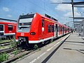 RegionalBahn mit Triebwagen der DB-Baureihe 425 auf dem Weg nach Biblis