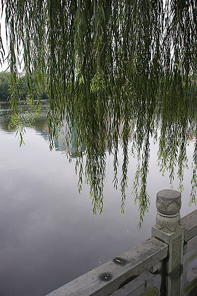 File:Yuehu Park, Ningbo - November 2008 (4204025497).jpg