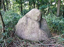 Menhir von Bucha