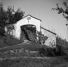 "Majcnov pil"- vhod v Majcnov vinograd iz Mokronoga, Sv. Vrh 1951.jpg