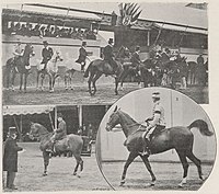 Épreuve-chevaux-de-selle-concours-hippique-international-JO1900.jpg 