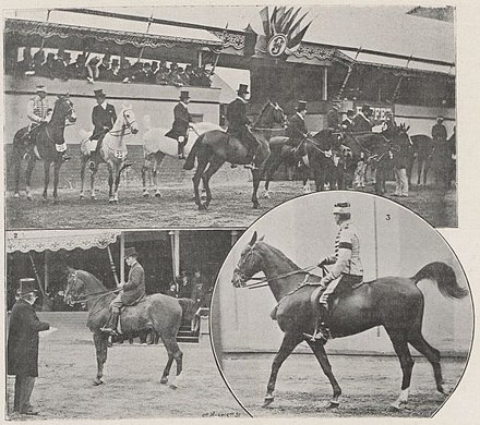 Конное милитари в программе олимпиады 9. Конный спорт на летних Олимпийских играх 1900. Олимпийские игры 1900 года в Париже конный спорт. Конкур 19 век.