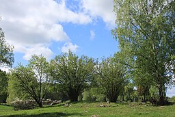 Öbacken-Bränninge naturreservater. 
 JPG