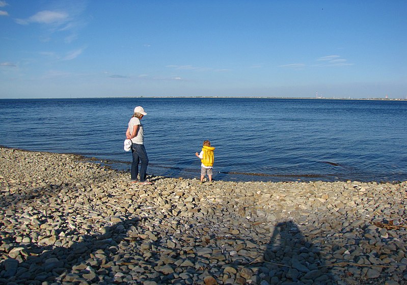 File:Волгоградское море - panoramio.jpg