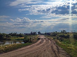 Landscape in Talitsky District