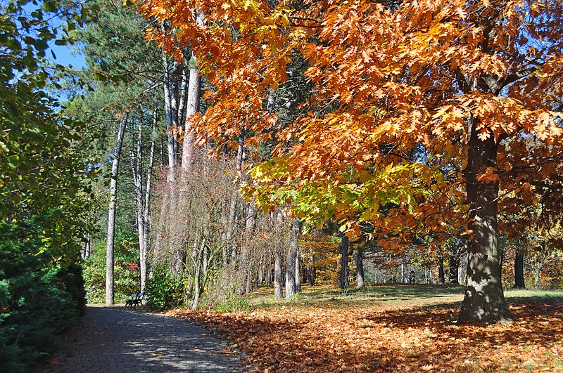 File:Осінь в Софіївці2.jpg